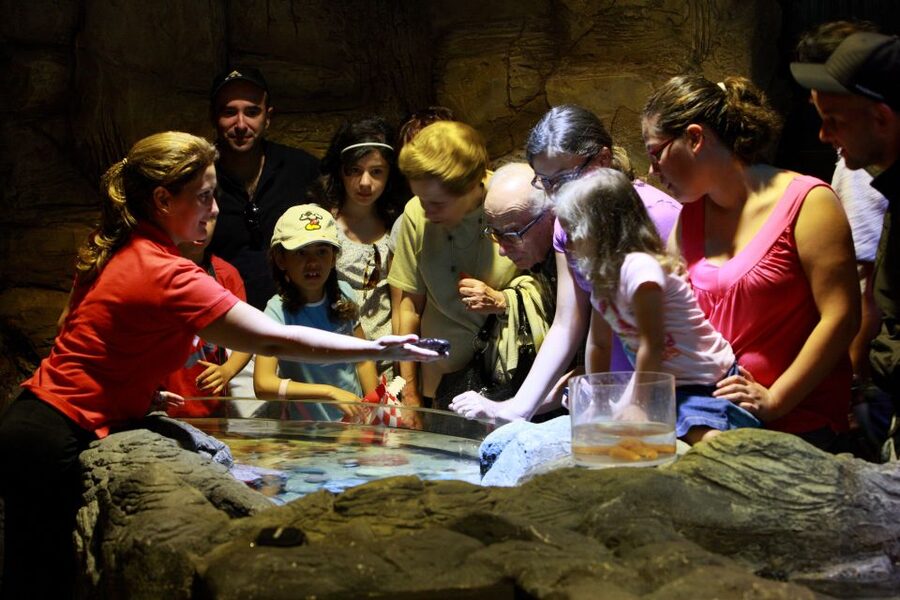 SEA LIFE Porto Full-Day Entrance Ticket - How long you’ll need for a full-day visit (and how to avoid fatigue)