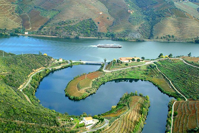 Secrets of Porto and Douro Valley with River Cruise - Porto Arrival, Private Transfer, And A Welcome Dinner That Sets The Tone