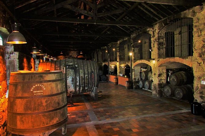 Secrets of Porto and Douro Valley with River Cruise - Who This Tour Fits Best (And Who Might Want Another Option)