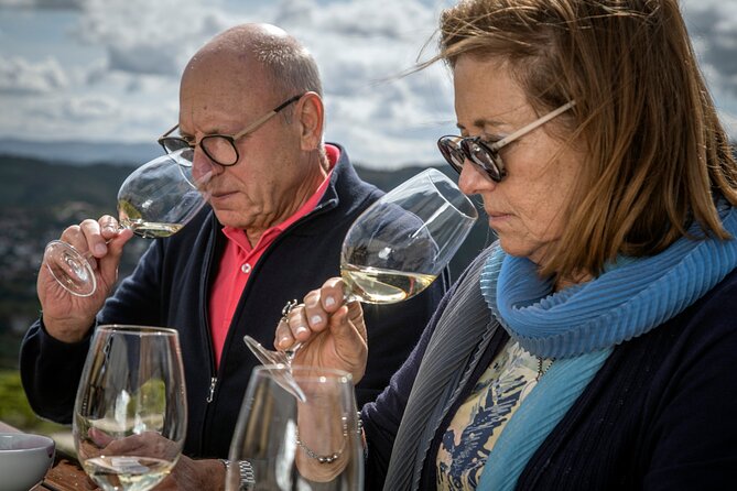 Selection Tasting | Quinta de Santa Cristina Vinho Verde - Key highlights you’ll care about