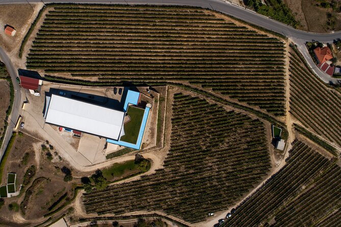 Selection Tasting | Quinta de Santa Cristina Vinho Verde - The 90-minute itinerary: vineyards, winery rooms, and the rooftop moment