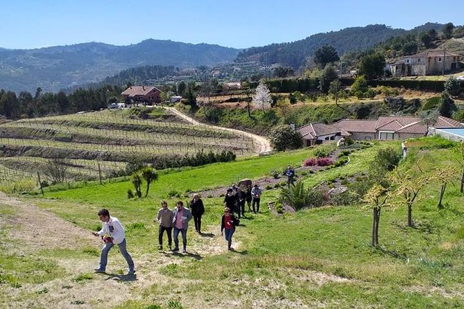 Selection Tasting | Quinta de Santa Cristina Vinho Verde - Price and value: what you’re really paying for at $39.91