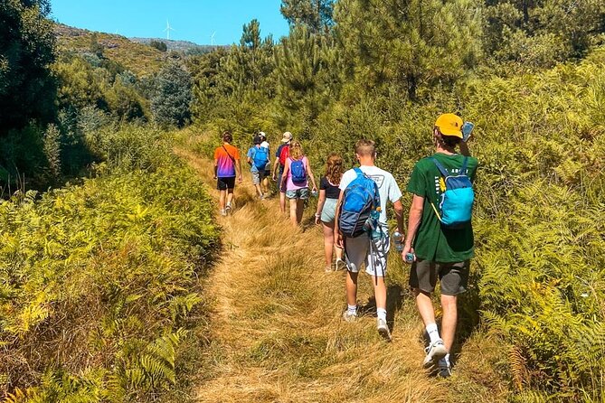 Serra D’Arga Hike, Dive & Dine Like A Local in a Secret Spot - Key highlights you’ll care about