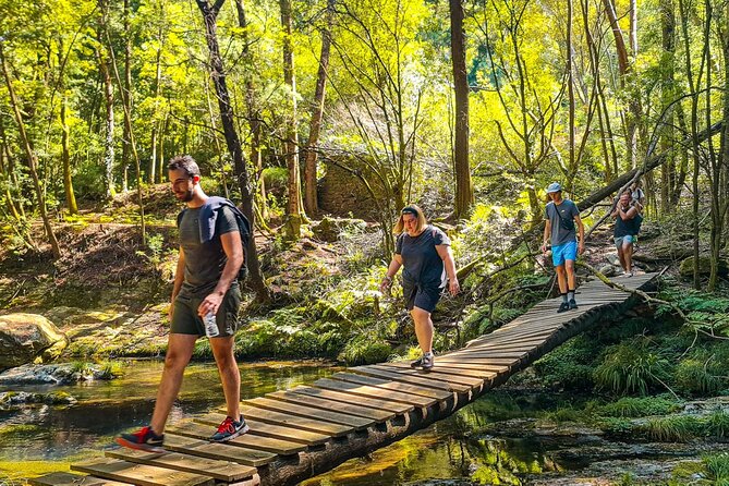 Serra D’Arga Hike, Dive & Dine Like A Local in a Secret Spot - The guide matters: Jorge plus a small-team feel