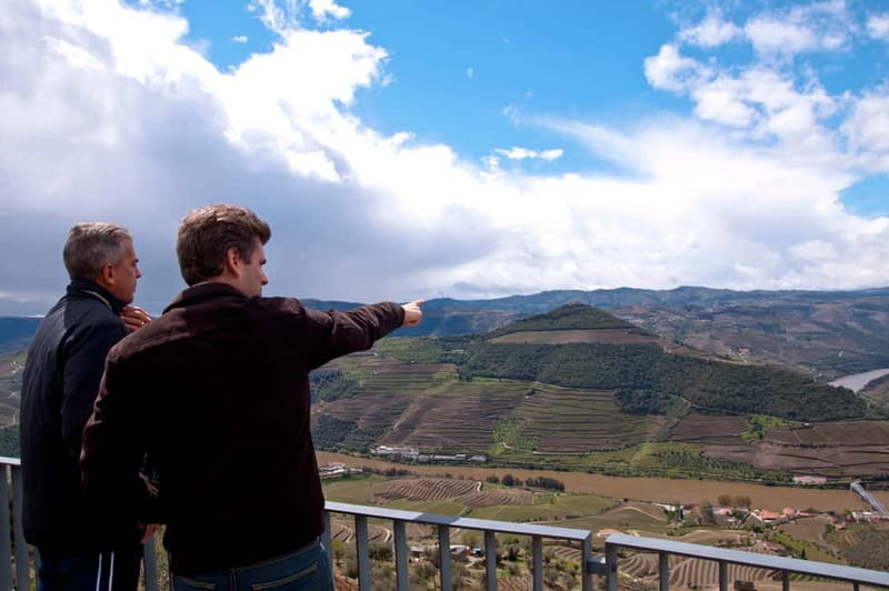 Small Group: Douro Valley Wine Tasting from Porto - Who should book this Douro Valley day from Porto