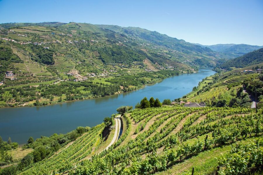 Small Group: Douro Valley Wine Tasting from Porto - Vilarinho de São Romão: the view stop plus the family farm tastings