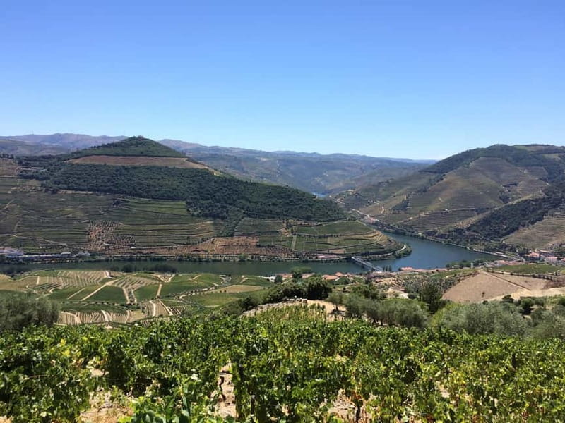 Small Group: Douro Valley Wine Tasting from Porto - Tastings that make sense: how to enjoy the wine, cheese, and olive oil