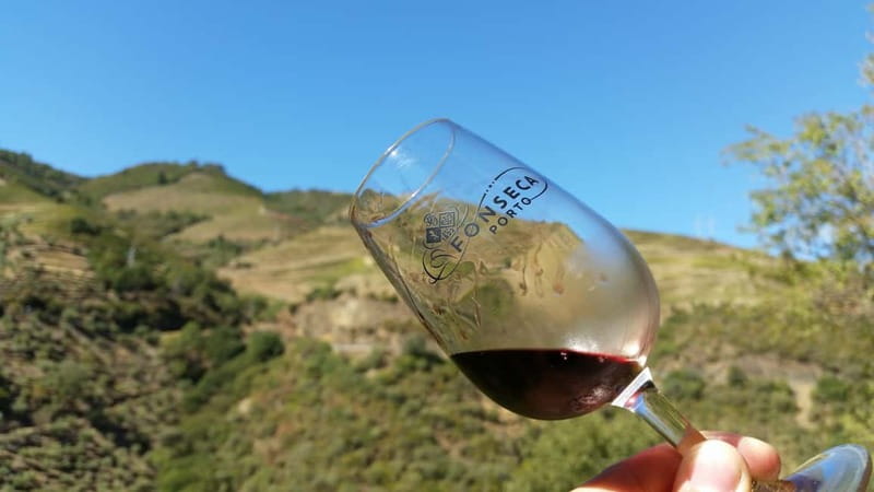 Small Group: Douro Valley Wine Tasting from Porto - Small group, bigger reality: comfort and crowding considerations