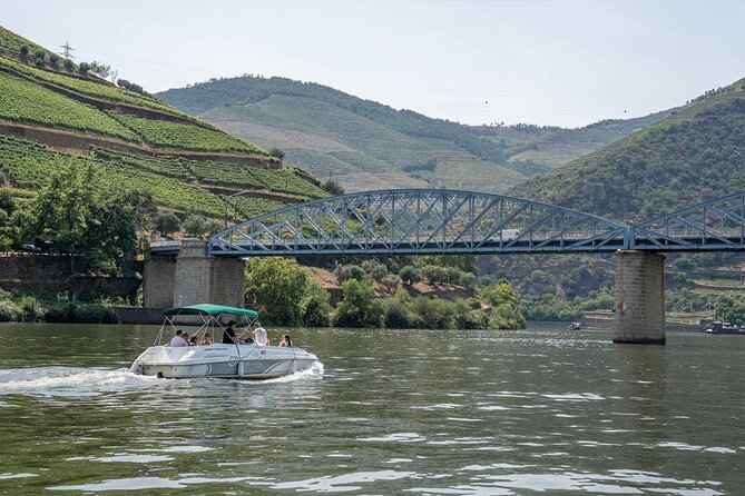 Small Group Douro Valley Wine Tour with Lunch and Cruise - Why This Douro Valley Tour Feels Small-Group (Not Group-Think)