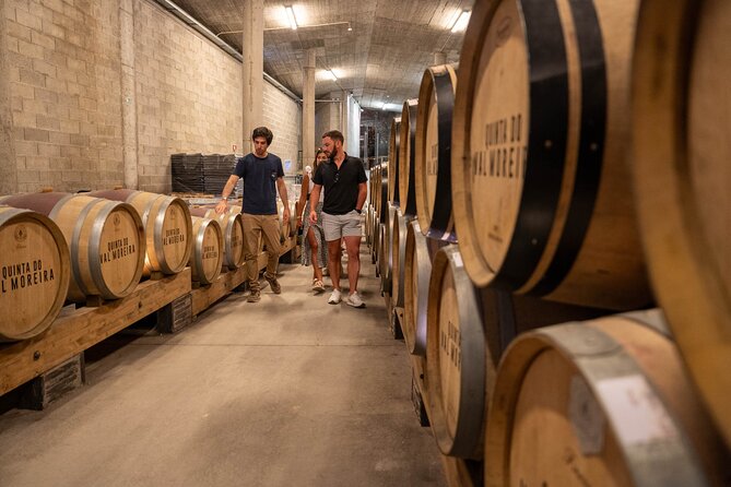 Small Group Douro Valley Wine Tour with Lunch and Cruise - First Wine Estate: Guided Vineyards, Cellars, and a 3-Wine Tasting