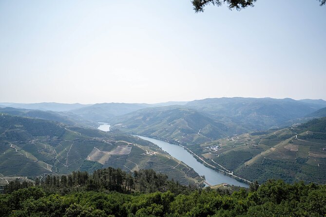 Small Group Douro Valley Wine Tour with Lunch and Cruise - Lunch at the Estate: Real Portuguese Food With Wine Pairing