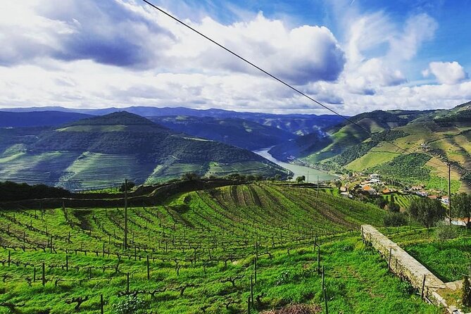 Small Group Douro Wine Valley Tour with Lunch and Wine Tasting - Two wineries and production visits: what you’re actually learning