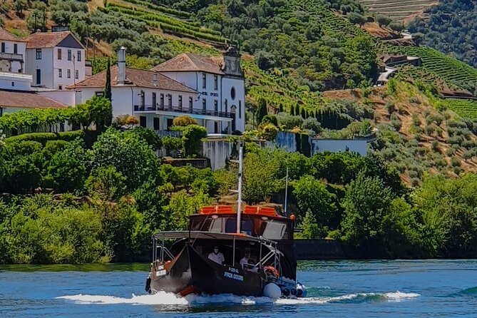 Small Group Douro Wine Valley Tour with Lunch and Wine Tasting - Price and value: does $174.32 feel fair?