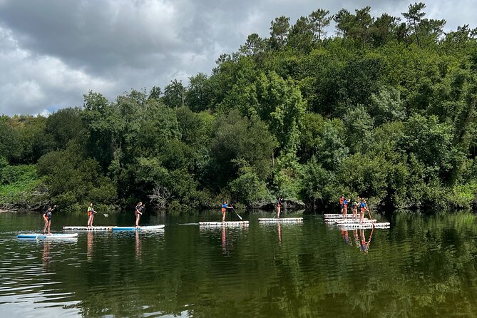 Stand Up Paddle Tour - Friendly Coaching and Real Safety on the Water