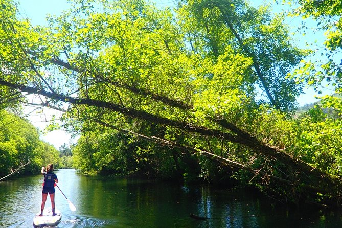 Stand Up Paddle Tour - Who Should Book This SUP Tour in Braga?