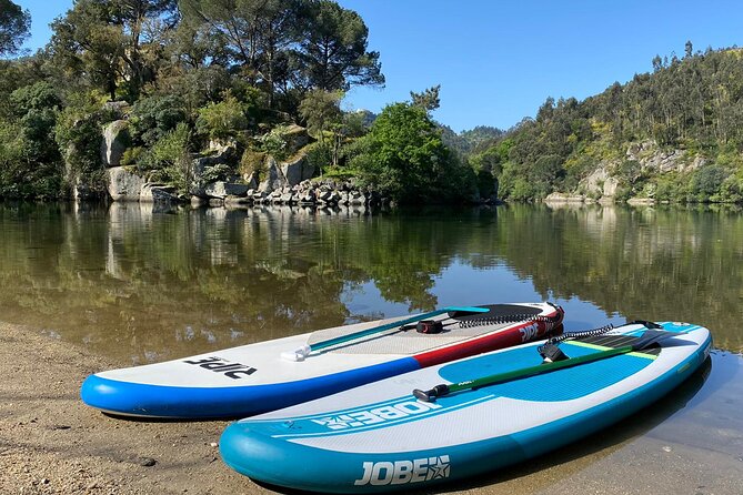 Stand-up-Paddle tour in Paiva river - Downriver moments: calm paddling, wildlife spotting, and local stories