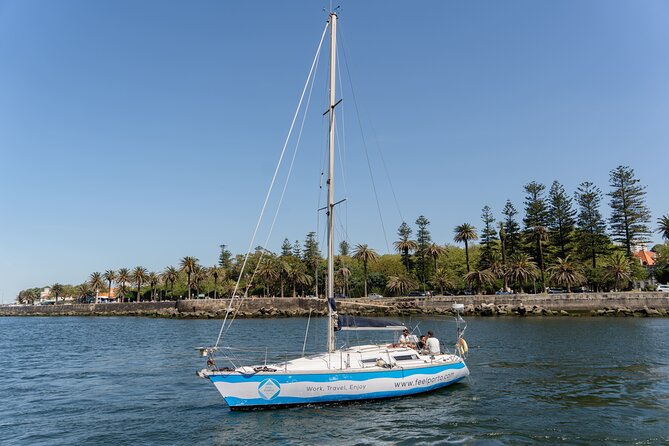 Sunset Cruise on the Douro River - A 2-Hour Sunset Sail from R. da Praia in Vila Nova de Gaia