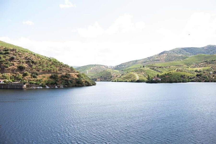 The Douro Valley Tour – Late Start Experience - Peso da Régua Break and Photo Stop: How to Use the 20 Minutes