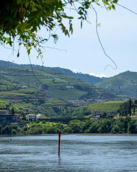The Douro Valley Tour – Late Start Experience - The First Wine Stop in Peso da Régua: Your Main Education Hour
