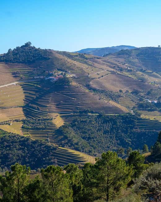 The Douro Valley Tour – Late Start Experience - Pinhão and the 1-Hour Douro River Cruise: This Is Where the Day Exhales