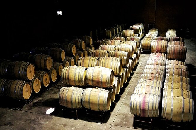 The Douro Valley Wine Affair with Private Boat Trip - Small Group - Boutique winery tasting: premium pours and cellar-to-outdoor contrast