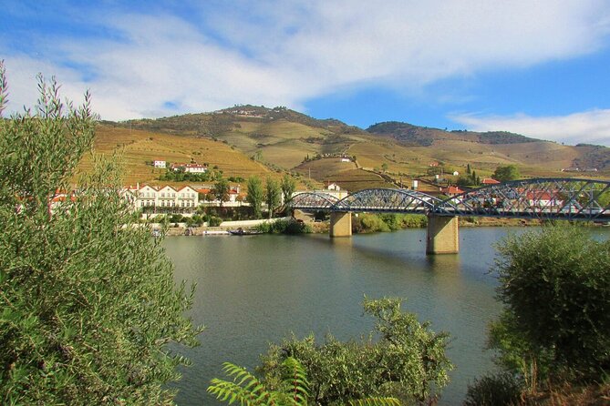 The Douro Valley Wine Affair with Private Boat Trip - Small Group - Port wine tasting at a beautifully located winery
