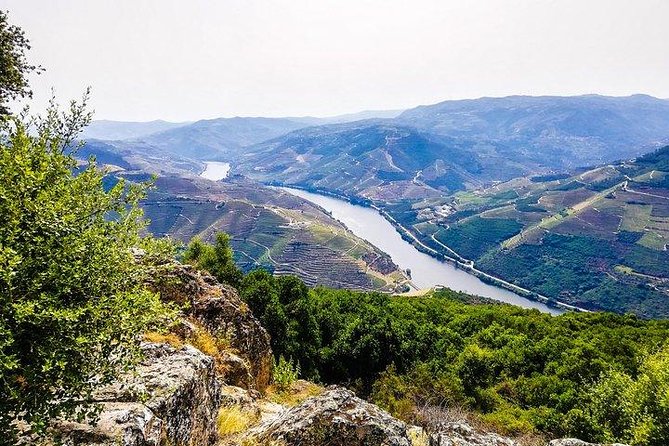 Top Highlights of Douro Valley From Porto Full Day Private Tour - A Private Douro Day From Porto: More Control, Less Hassle