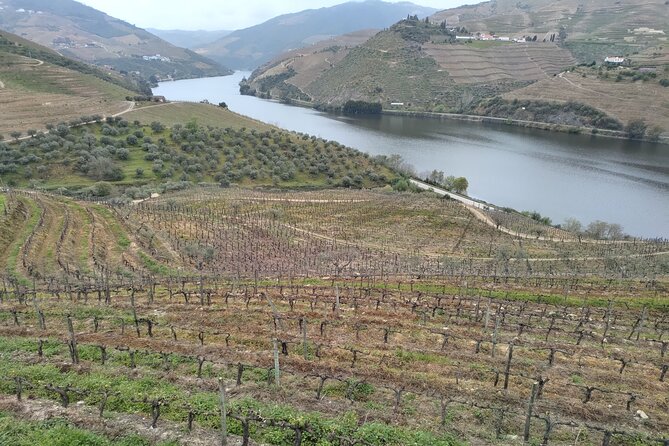 Tour- Douro Wine Region- The Douro Wine Route - Pinhão river cruise and wine time on the water