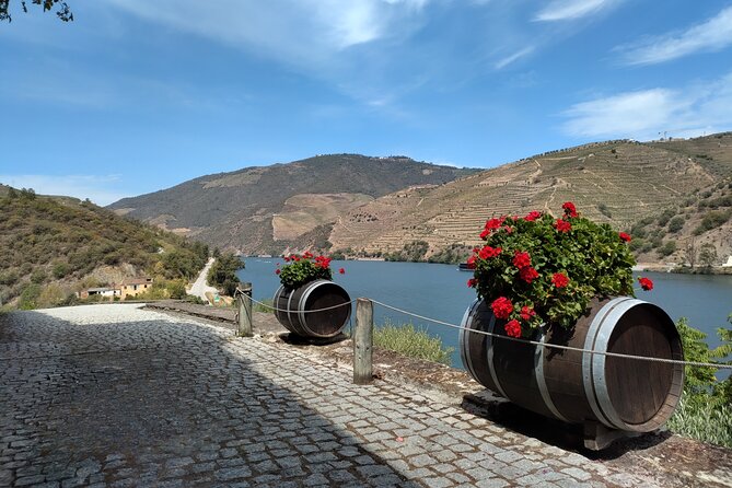 Tour- Douro Wine Region- The Douro Wine Route - Sabrosa and Vintage Theory Douro: lunch plus port tastings