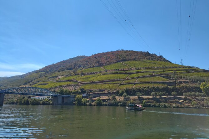 Tour- Douro Wine Region- The Douro Wine Route - Why the guides matter: Jorge, Nuno, and the producer hosts