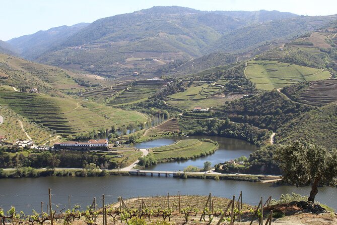 Tour the Douro wine region, and discover the fantastic landscape - From Porto to the Upper Douro: why this route feels less staged
