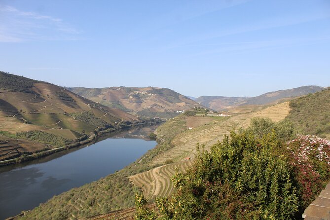 Tour the Douro wine region, and discover the fantastic landscape - Lunch and wine tasting: included, but mind what alcohol means for you