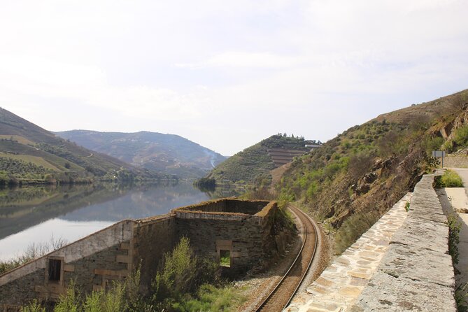 Tour the Douro wine region, and discover the fantastic landscape - Tips to get more from your Douro day trip