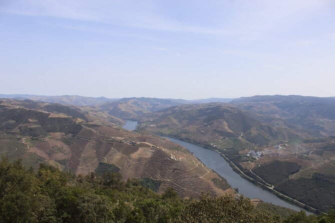 Tour the Douro wine region, and discover the fantastic landscape - Who should book this tour (and who might skip)