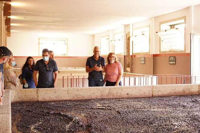 Tour to the Palace of Mateus and the Douro - The Pinhão Railway Station stop: short, but it adds the wine story