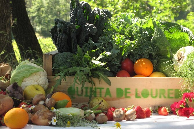 Traditional Cooking Class, Farm Tour & Lunch in the Douro Valley - Key Highlights Before You Go