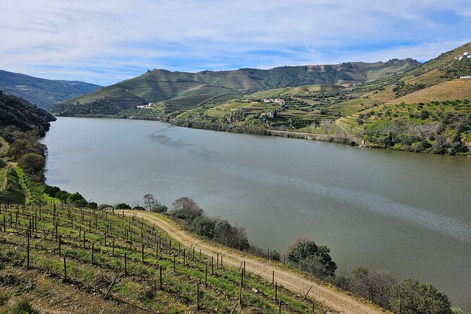 Transfer- Porto to Douro Wine Region (or reverse) - Comfortable ride details that matter in real life