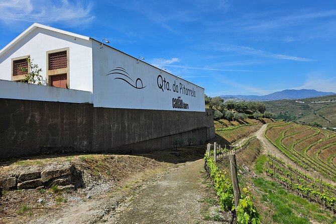Transfer- Porto to Douro Wine Region (or reverse) - Price and value: why $51.17 can make sense
