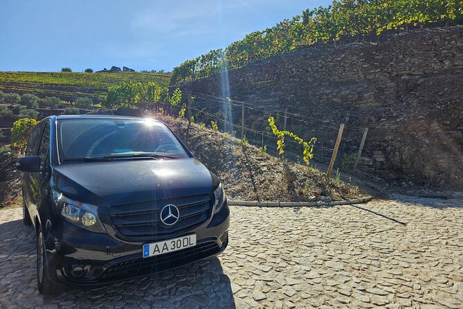 Transfer- Porto to Douro Wine Region (or reverse) - Who this transfer is best for