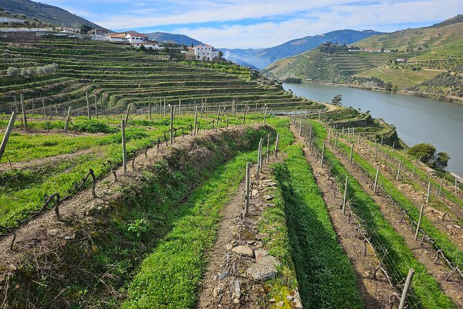 Transfer- Porto to Douro Wine Region (or reverse) - Meet your driver: fast communication, easy handoff