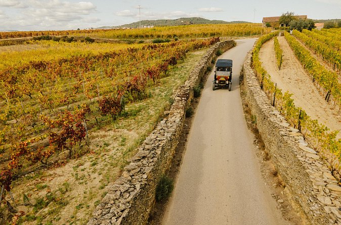 Two Day Tour of the Douro Valley - Transport and comfort: air-conditioned vehicle counts more than you’d think