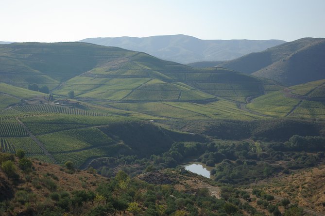 Upper Douro Walk & WineTour - Key highlights you’ll feel fast