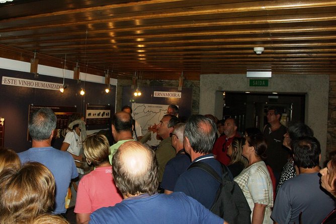 Upper Douro Walk & WineTour - Why this Upper Douro day works so well from Braga