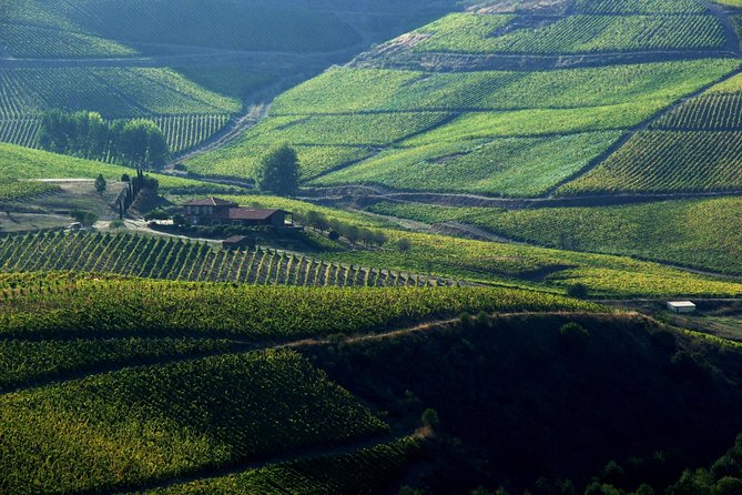 Upper Douro Walk & WineTour - The 10km walk: easy on paper, real on feet