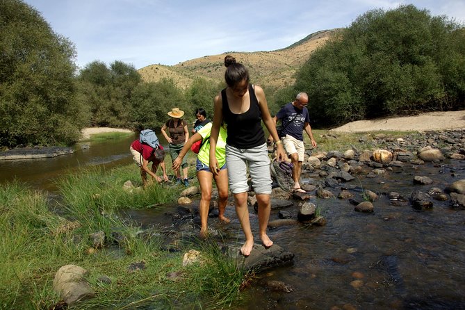 Upper Douro Walk & WineTour - Côa Museum and the Paleolithic engravings: the human story behind the rocks