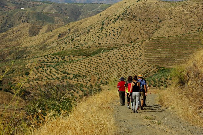 Upper Douro Walk & WineTour - Views, photos, and the real reason you’ll remember it