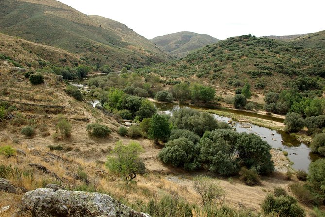 Upper Douro Walk & WineTour - Riding in a Tesla Model 3 into Douro wine country