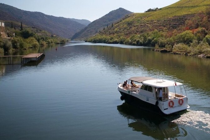 VALE DOURO, Premium Wine Tour, Wine Lunch, Private Boat - Porto pickup at 8:30, then you’re quickly out of the city