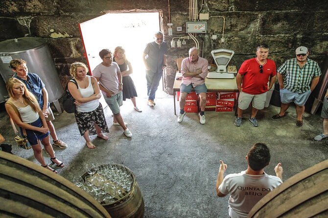 VALE DOURO, Premium Wine Tour, Wine Lunch, Private Boat - Price and value: what $163.33 buys in a long full-day format