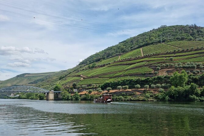 VALE DOURO, Premium Wine Tour, Wine Lunch, Private Boat - Who should book this Douro Premium Wine Tour